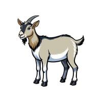 Vivid Nigerian Dwarf Goat Realistic Color Illustration vector