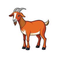 Charming Nubian Goat Realistic Color Illustration with Outline vector