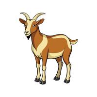 Stunning Nubian Goat Realistic Color Illustration with Outline vector
