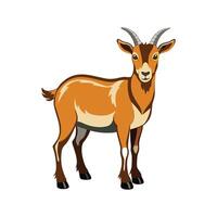 Charming Oberhasli Goat Realistic Color Illustration. vector
