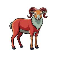 Vivid Old Welsh Mountain Sheep Realistic Color Illustration vector