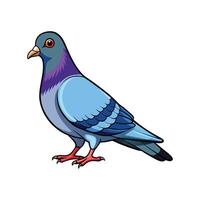 Vivid Pigeon Realistic Color Illustration with Outline vector