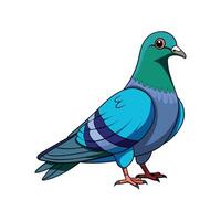 Stunning Pigeon Realistic Color Illustration with Outline vector