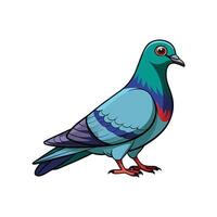Charming Pigeon Realistic Color Illustration with Outline vector