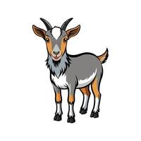 Charming Pygmy Goat Realistic Color Illustration with Outline vector
