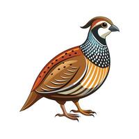 Beautiful Quail Realistic Color Illustration on White Background vector