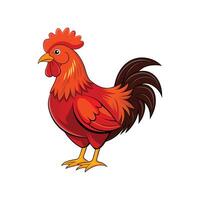 Stunning Rhode Island Red Chicken Realistic Color Illustration vector