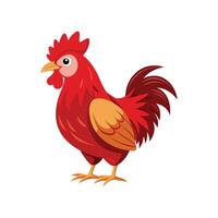 Beautiful Rhode Island Red Chicken Realistic Color Illustration vector