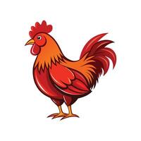 Charming Rhode Island Red Chicken Realistic Color Illustration vector