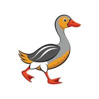 Charming Runner Duck Realistic Color Illustration with Outline vector