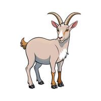 Beautiful Saanen Goat Realistic Color Illustration with Outline. vector