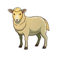 Beautiful Sheep Realistic Color Illustration with Outline vector