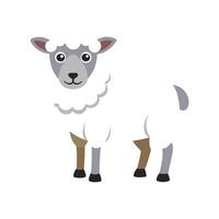 Charming Sheep Illustration on White Background vector