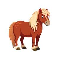 Stunning Shetland Pony Realistic Color Illustration vector
