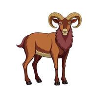 Vivid Soay Sheep Realistic Color Illustration with Outline vector
