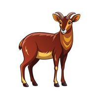 Beautiful Soay Sheep Realistic Color Illustration with Outline vector