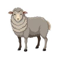 Charming Southdown Sheep Realistic Color Illustration vector