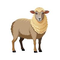 Beautiful Southdown Sheep Realistic Color Illustration. vector