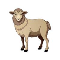 Charming Southdown Sheep Realistic Color Illustration. vector