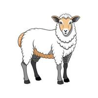 Beautiful Southdown Sheep Realistic Color Illustration vector
