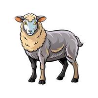 Stunning Southdown Sheep Realistic Color Illustration. vector