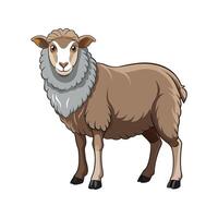 Vivid Southdown Sheep Realistic Color Illustration vector