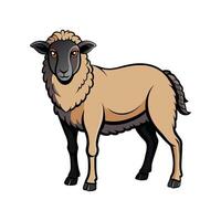 Stunning Southdown Sheep Realistic Color Illustration vector