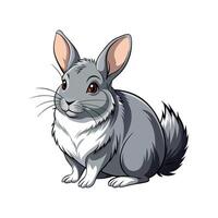 Vivid Standard Chinchilla Rabbit Realistic Color Illustration vector