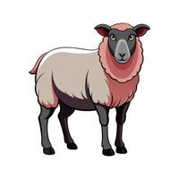 Beautiful Suffolk Sheep Realistic Color Illustration with Outline vector