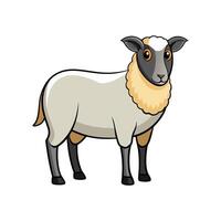 Charming Suffolk Sheep Realistic Color Illustration with Outline vector