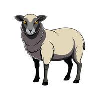 Vivid Suffolk Sheep Realistic Color Illustration with Outline. vector