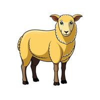 Charming Texel Sheep Realistic Color Illustration with Outline vector