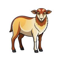 Realistic Texel Sheep Color Illustration Design vector