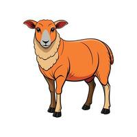 Illustration of Realistic Texel Sheep Design vector