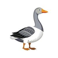 Charming Toulouse Goose Realistic Color Illustration vector