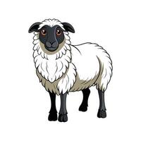 Realistic Valais Blacknose Sheep Color Illustration vector