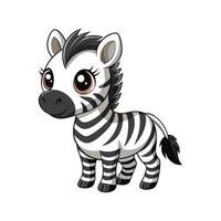 Charming Baby Zebra Standing Gracefully vector
