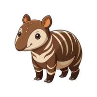 Charming Baby Tapir Standing and Exploring Joyfully vector