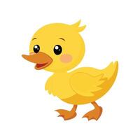 Delightful Baby Duckling Waddling Playfully vector