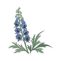 Aconitum Flower Artistic Representation vector