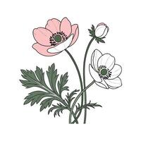 Anemone Flower Unique Design vector