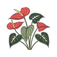 Anthurium Flower Unique Design vector