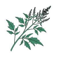 Chenopodium Flower Bright Design vector