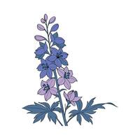 Charming Delphinium Floral Art on Bright White vector
