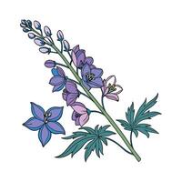 Vivid Delphinium Flower Design on White vector