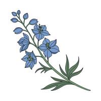 Stunning Delphinium Flower Design on White vector
