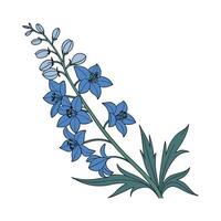 Vivid Delphinium Flower Art on Bright White vector