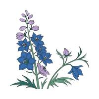 Charming Delphinium Illustration on Clean White vector