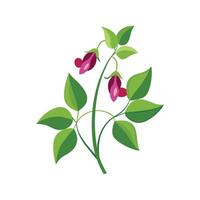 Elegant Desmodium Design on Bright White vector