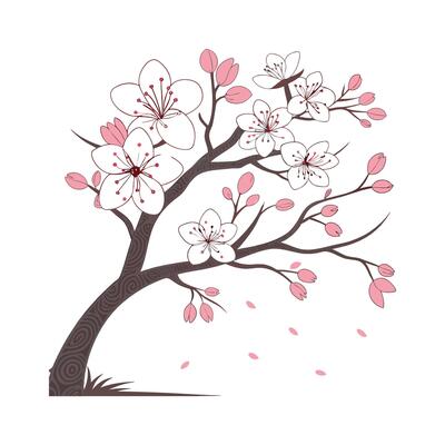 Charming DoubleFlowering Cherry Design on White